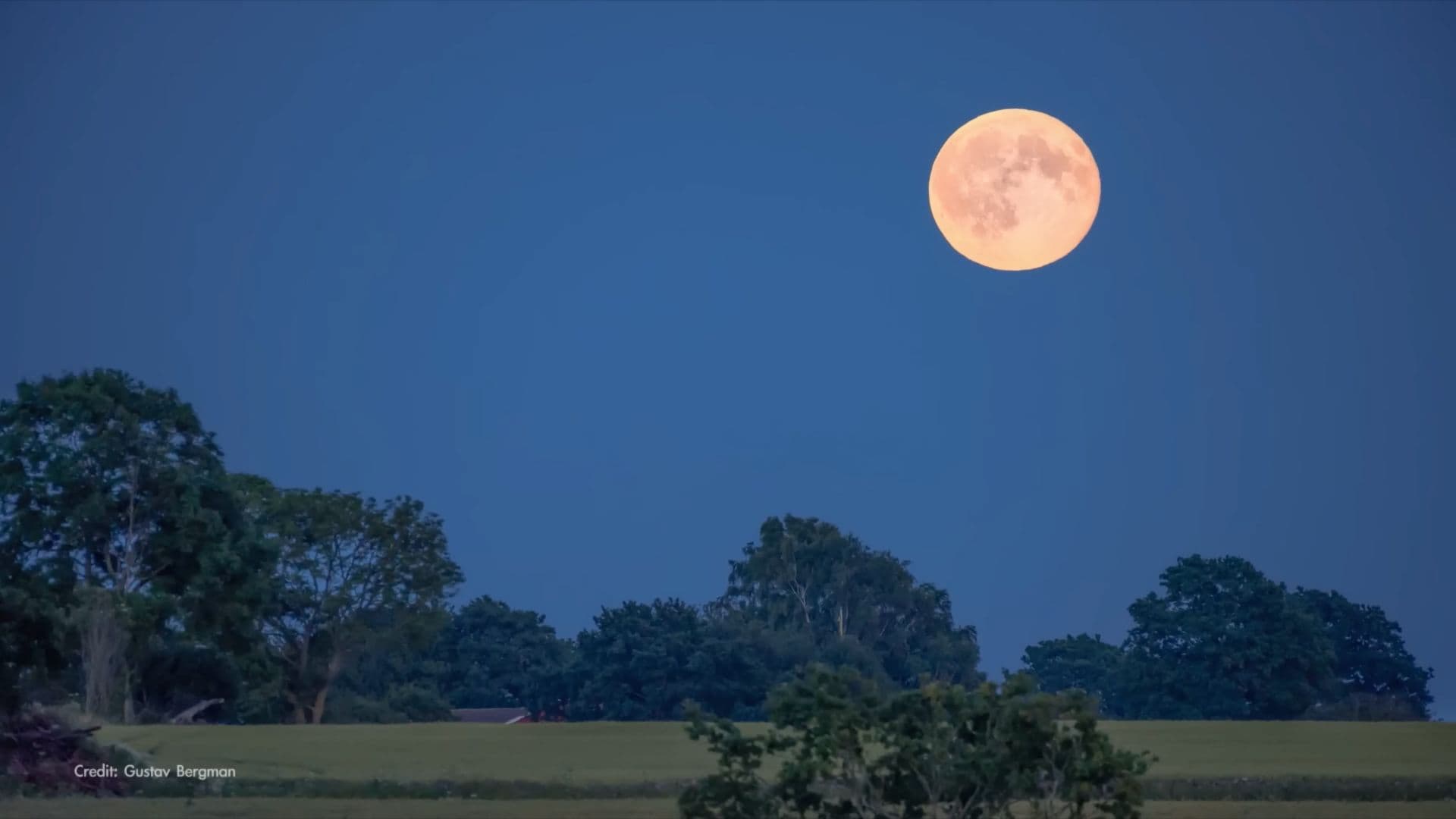 A Harvest Moon in the sky right after sunset