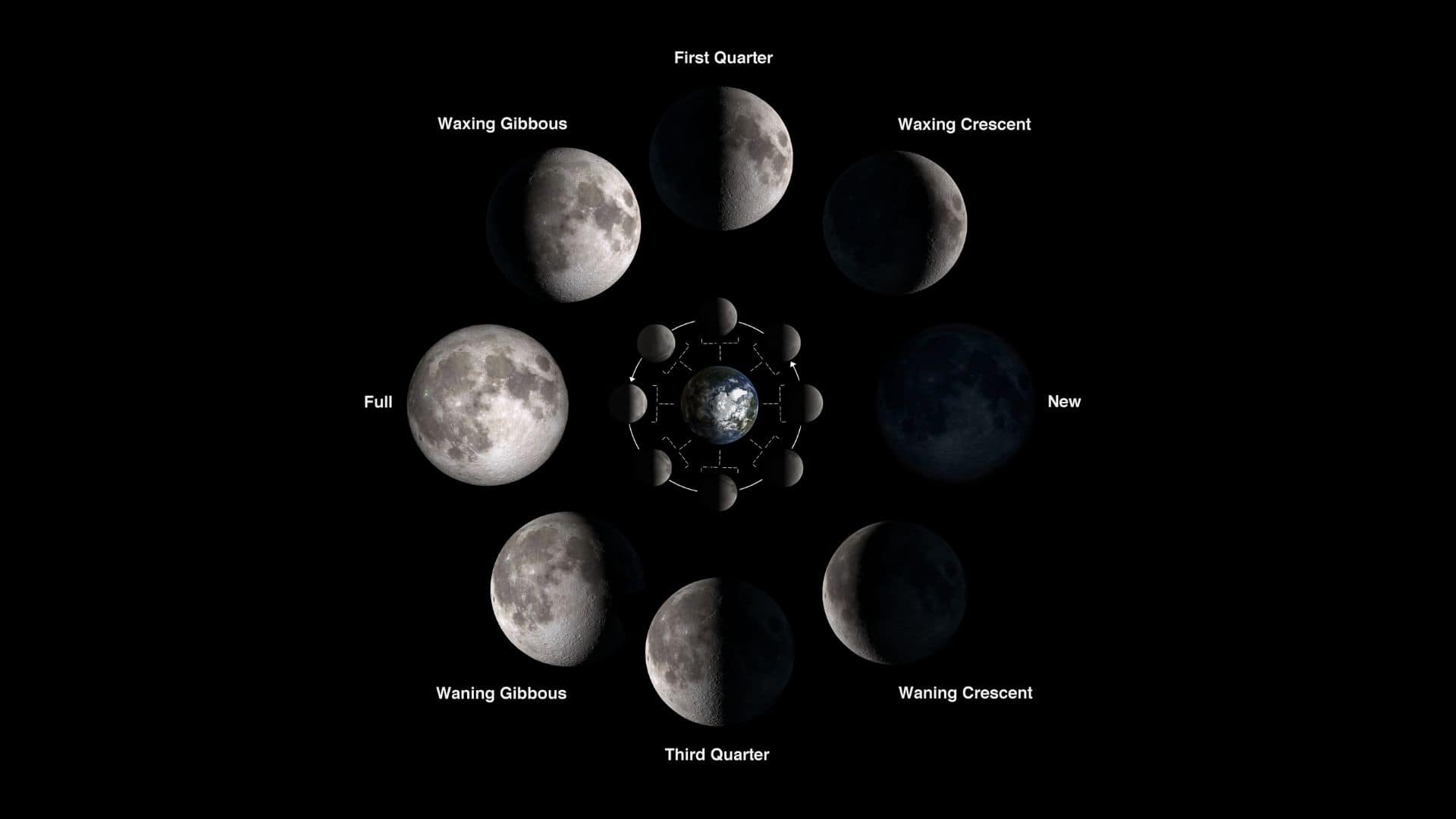 All the phases of the Moon in a lunar phase cycle.