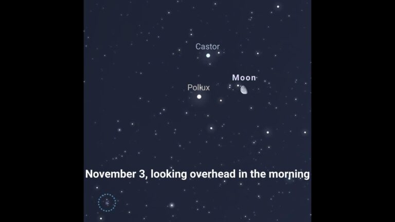 Bright star Pollux next to the moon on the morning of November 3, 2023