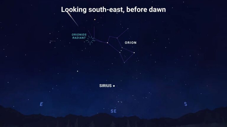 The radiant of the Orionid meteor shower is located in the famous constellation Orion