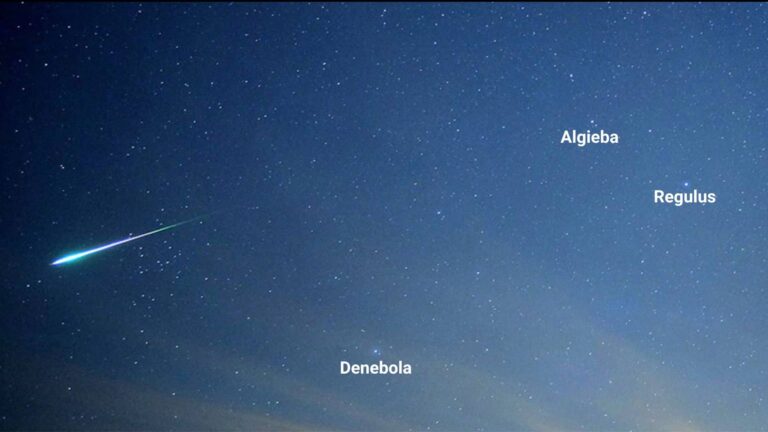 A bright Leonid meteor is radiating from the constellation Leo