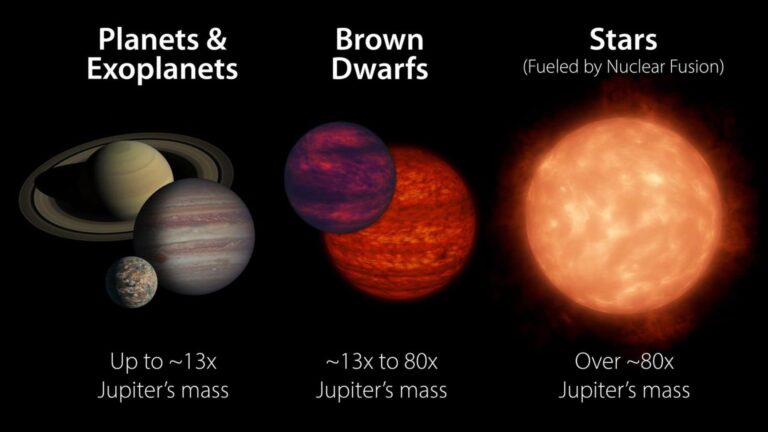 Brown dwarfs fall in the category between planets and stars in terms of mass