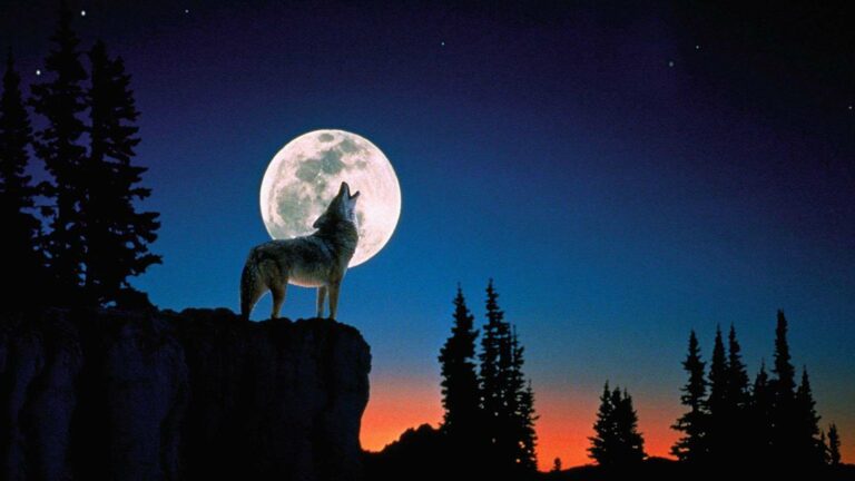 January's full 'Wolf Moon'