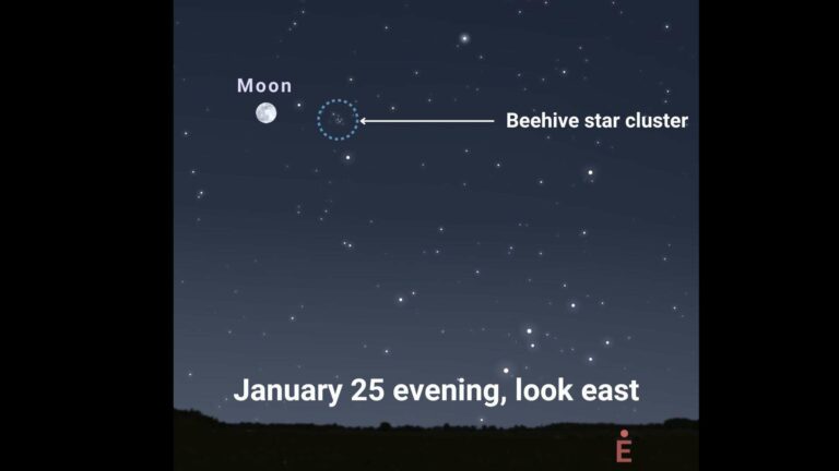 January's full 'Wolf Moon' howls near the Beehive star cluster on January 25, 2024