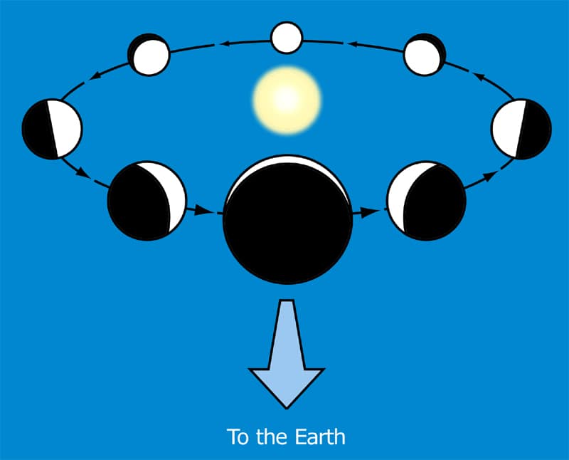 Phases of the inner planets (Mercury and Venus)