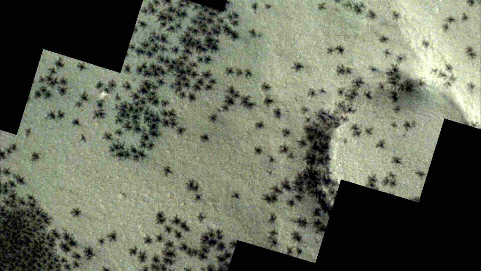 ESA's ExoMars Trace Gas Orbiter spacecraft captured the spider-shaped patterns from Mars orbit