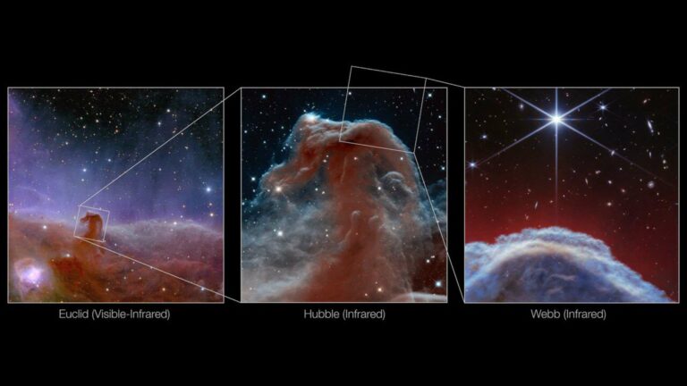 Three views of the iconic Horsehead Nebula captured by Euclid, Hubble, and James Webb