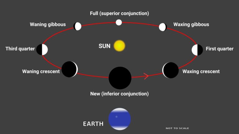 Phases of Mercury and Venus